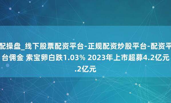 配操盘_线下股票配资平台-正规配资炒股平台-配资平台佣金 索宝卵白跌1.03% 2023年上市超募4.2亿元