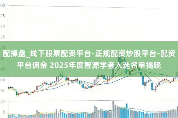 配操盘_线下股票配资平台-正规配资炒股平台-配资平台佣金 2025年度智源学者入选名单揭晓