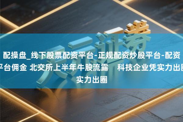 配操盘_线下股票配资平台-正规配资炒股平台-配资平台佣金 北交所上半年牛股流露    科技企业凭实力出圈