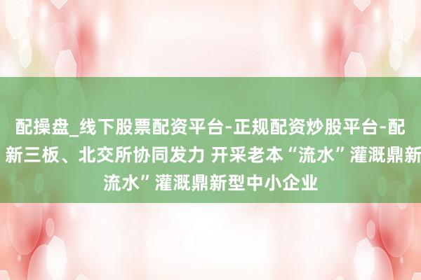 配操盘_线下股票配资平台-正规配资炒股平台-配资平台佣金 新三板、北交所协同发力 开采老本“流水”灌溉鼎新型中小企业