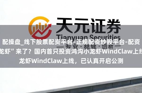 配操盘_线下股票配资平台-正规配资炒股平台-配资平台佣金 炒股“小龙虾”来了？国内首只投资鸿沟小龙虾WindClaw上线，已认真开启公测