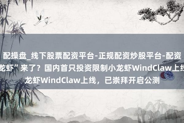 配操盘_线下股票配资平台-正规配资炒股平台-配资平台佣金 炒股“小龙虾”来了？国内首只投资限制小龙虾WindClaw上线，已崇拜开启公测