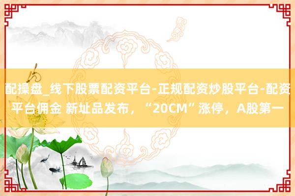 配操盘_线下股票配资平台-正规配资炒股平台-配资平台佣金 新址品发布，“20CM”涨停，A股第一