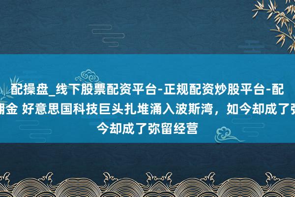 配操盘_线下股票配资平台-正规配资炒股平台-配资平台佣金 好意思国科技巨头扎堆涌入波斯湾，如今却成了弥留经营