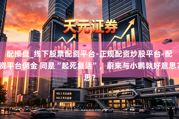 配操盘_线下股票配资平台-正规配资炒股平台-配资平台佣金 同是“起死复活”，蔚来与小鹏孰好意思？