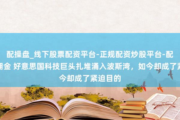 配操盘_线下股票配资平台-正规配资炒股平台-配资平台佣金 好意思国科技巨头扎堆涌入波斯湾，如今却成了紧迫目的