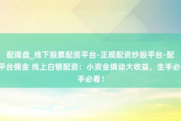 配操盘_线下股票配资平台-正规配资炒股平台-配资平台佣金 线上白银配资：小资金撬动大收益，生手必看！