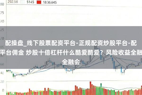 配操盘_线下股票配资平台-正规配资炒股平台-配资平台佣金 炒股十倍杠杆什么酷爱酷爱？风险收益全融会