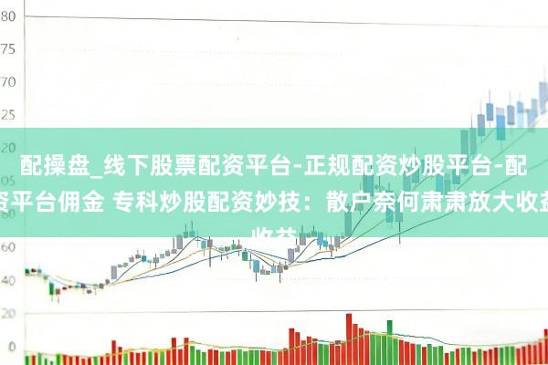 配操盘_线下股票配资平台-正规配资炒股平台-配资平台佣金 专科炒股配资妙技：散户奈何肃肃放大收益