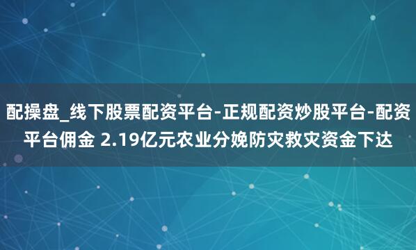 配操盘_线下股票配资平台-正规配资炒股平台-配资平台佣金 2.19亿元农业分娩防灾救灾资金下达