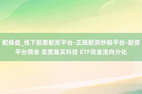 配操盘_线下股票配资平台-正规配资炒股平台-配资平台佣金 卖宽基买科技 ETF资金流向分化