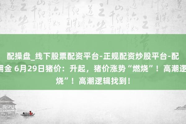 配操盘_线下股票配资平台-正规配资炒股平台-配资平台佣金 6月29日猪价：升起，猪价涨势“燃烧”！高潮逻辑找到！
