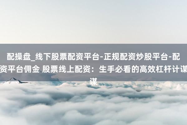 配操盘_线下股票配资平台-正规配资炒股平台-配资平台佣金 股票线上配资：生手必看的高效杠杆计谋