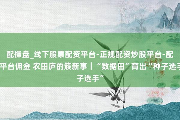 配操盘_线下股票配资平台-正规配资炒股平台-配资平台佣金 农田庐的簇新事｜“数据田”育出“种子选手”
