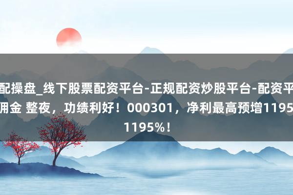 配操盘_线下股票配资平台-正规配资炒股平台-配资平台佣金 整夜，功绩利好！000301，净利最高预增1195%！