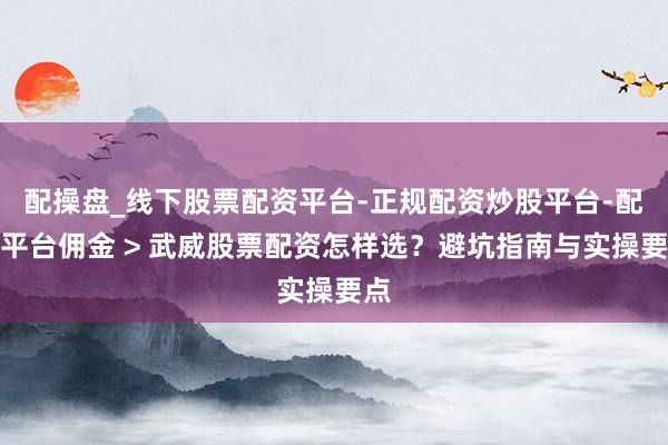 配操盘_线下股票配资平台-正规配资炒股平台-配资平台佣金 > 武威股票配资怎样选？避坑指南与实操要点