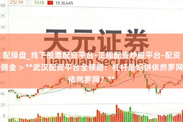 配操盘_线下股票配资平台-正规配资炒股平台-配资平台佣金 > **武汉配资平台全领路：杠杆是馅饼依然罗网？**